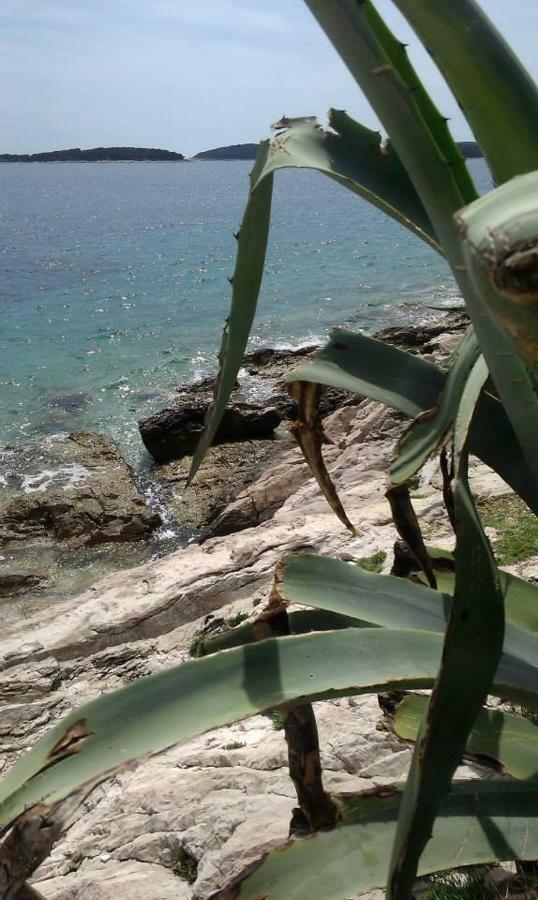 Liza'S Downtown Apartment Hvar Town Buitenkant foto